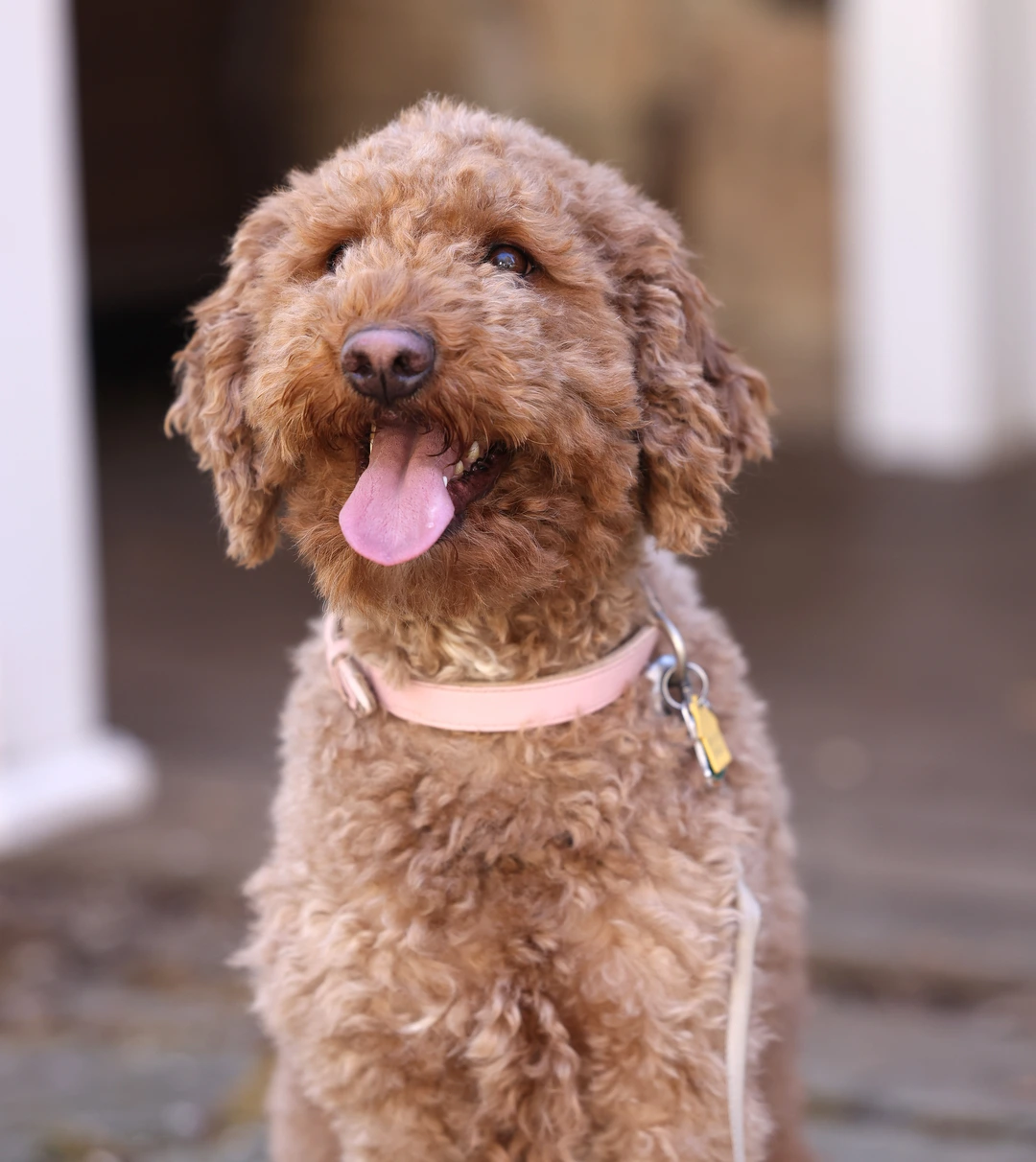 Maggie6 Feb 24, 2025 The Dam - Lily<br />